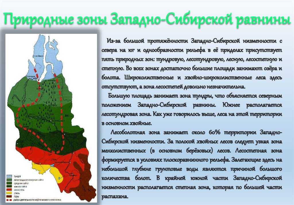 В какой природной зоне расположен ярославль. Природные зоны Кузбасса. Природные зоны Западной Сибири. Климатические зоны Западной Сибири.