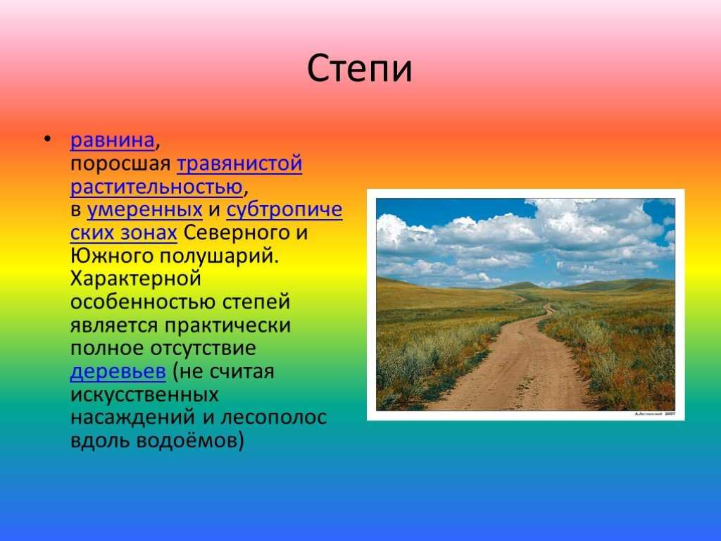 Экологические проблемы степи