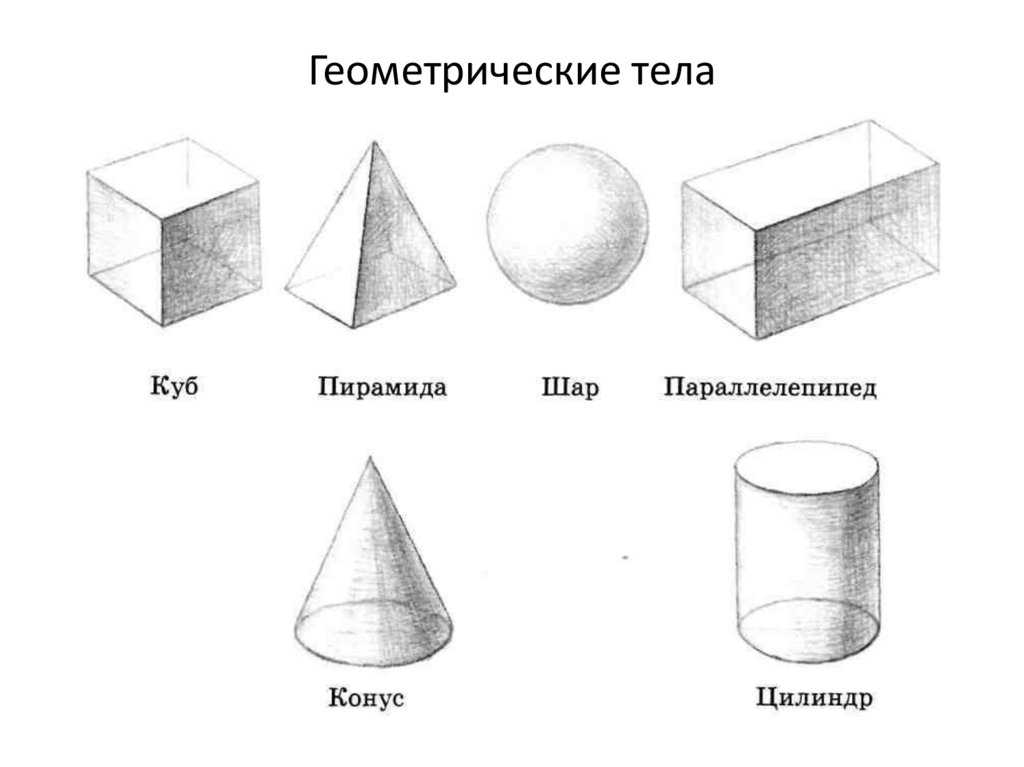 Условные знаки географических и топографических карт, что это и какие бывают