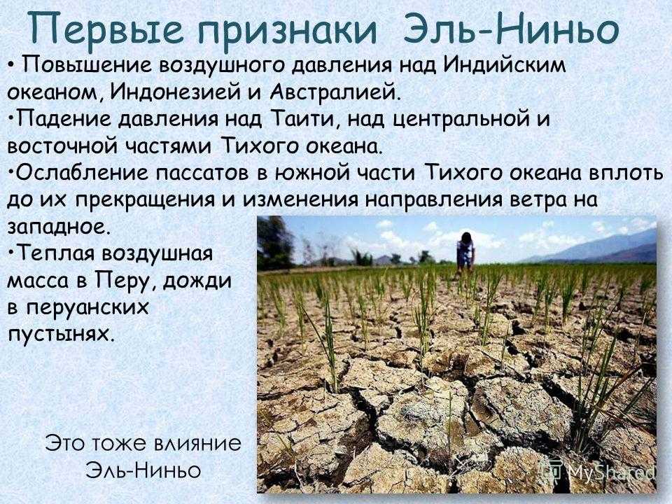 Загадочная погодная аномалия эль-ниньо - zefirka