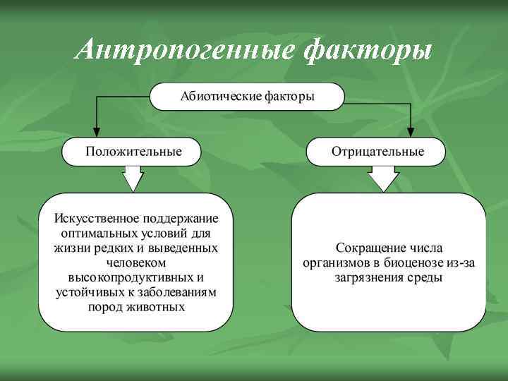 Влияние  человека на природу: положительные и отрицательные факторы
