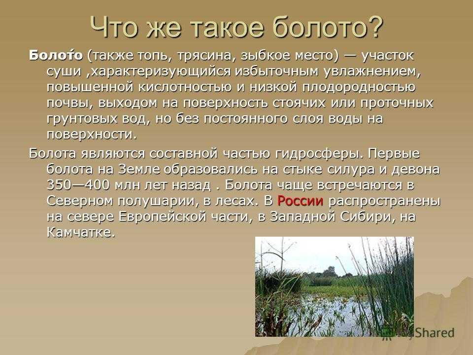 Топ 5 увлекательных причин почему человек тонет в болоте