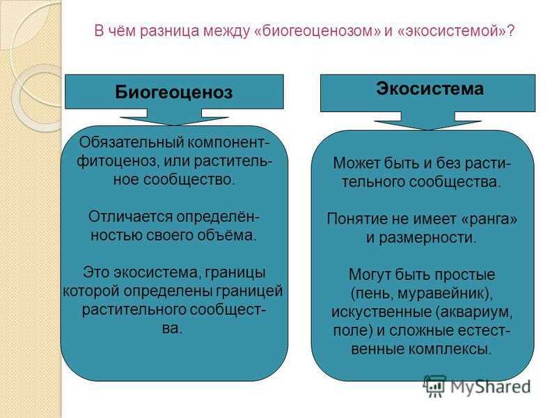 Уровни организации живой природы: таблица свойства живых организмов