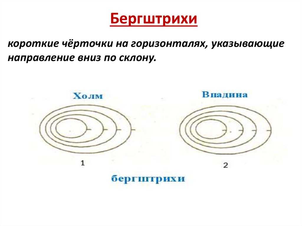 Словарь ориентировщика / клуб спортивного ориентирования "экта"