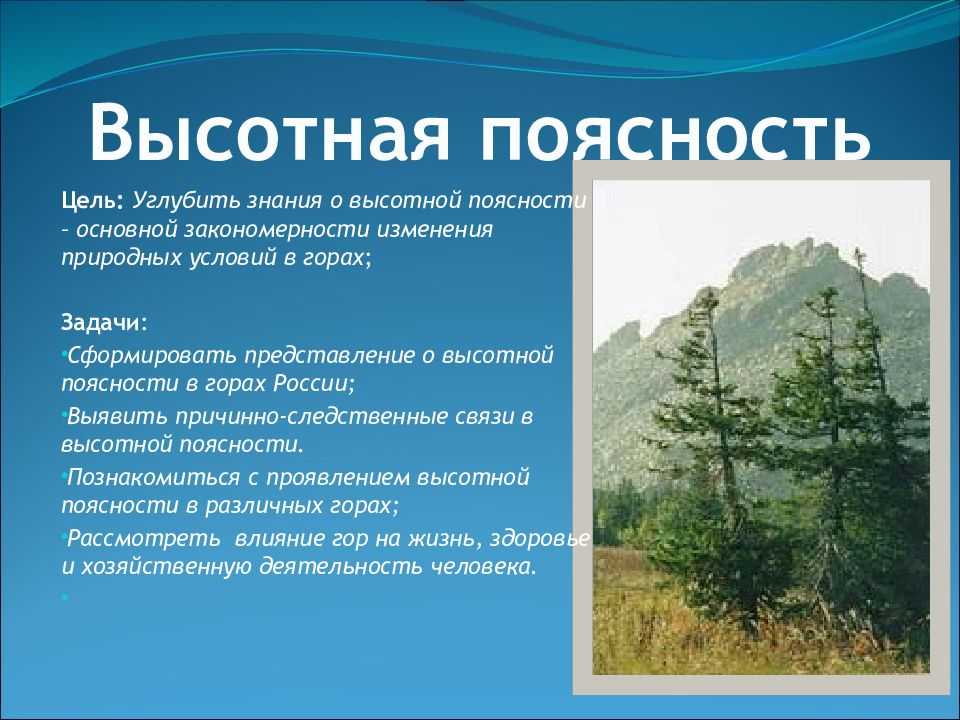 Области высотной поясности: характеристика, климат, растения и животные