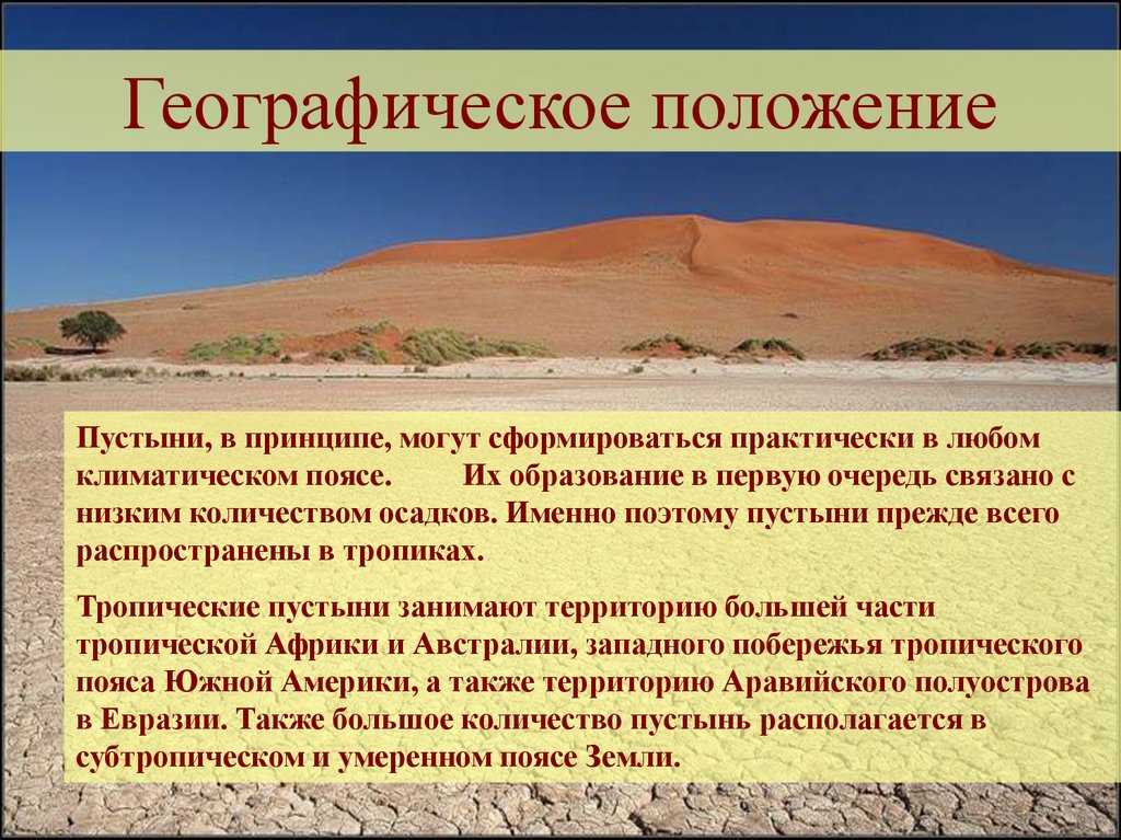 Пустыни и полупустыни — климат, животный мир и растительность