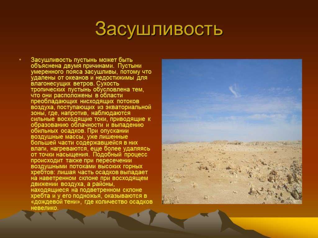Природная зона пустынь: их классификация и характеристика