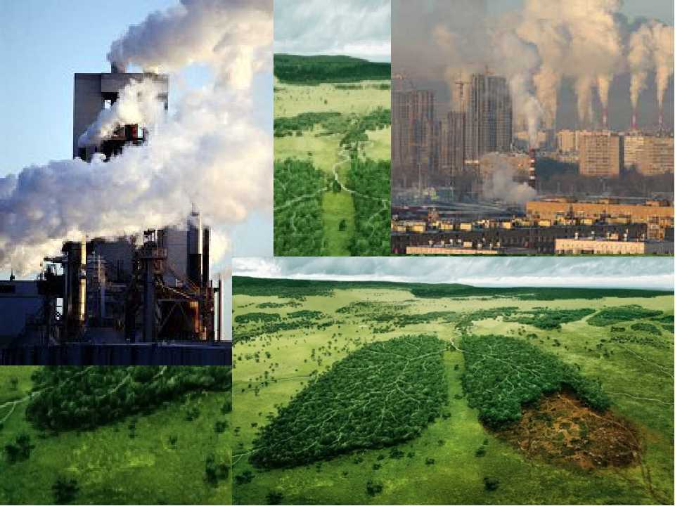 Урок 9: человек и биосфера - 100urokov.ru