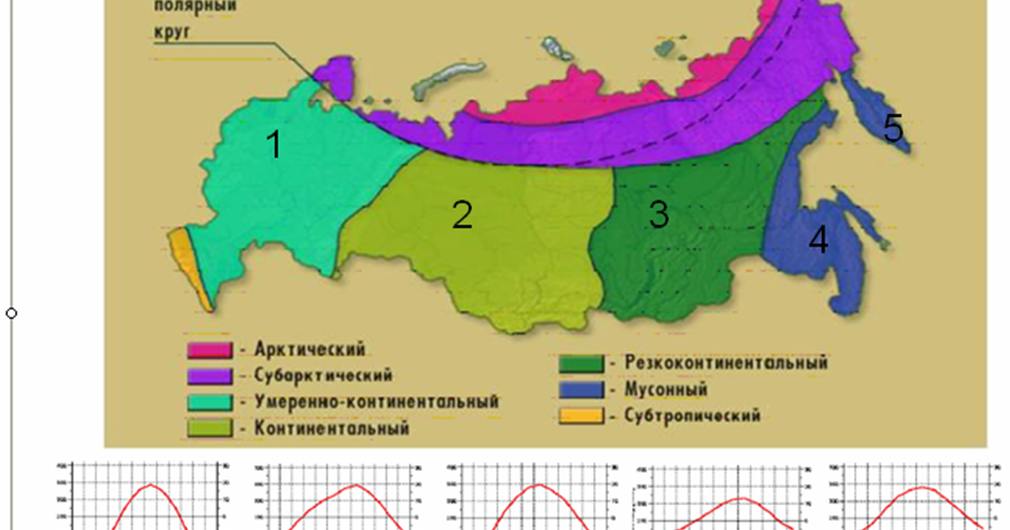 Основные климатические пояса россии