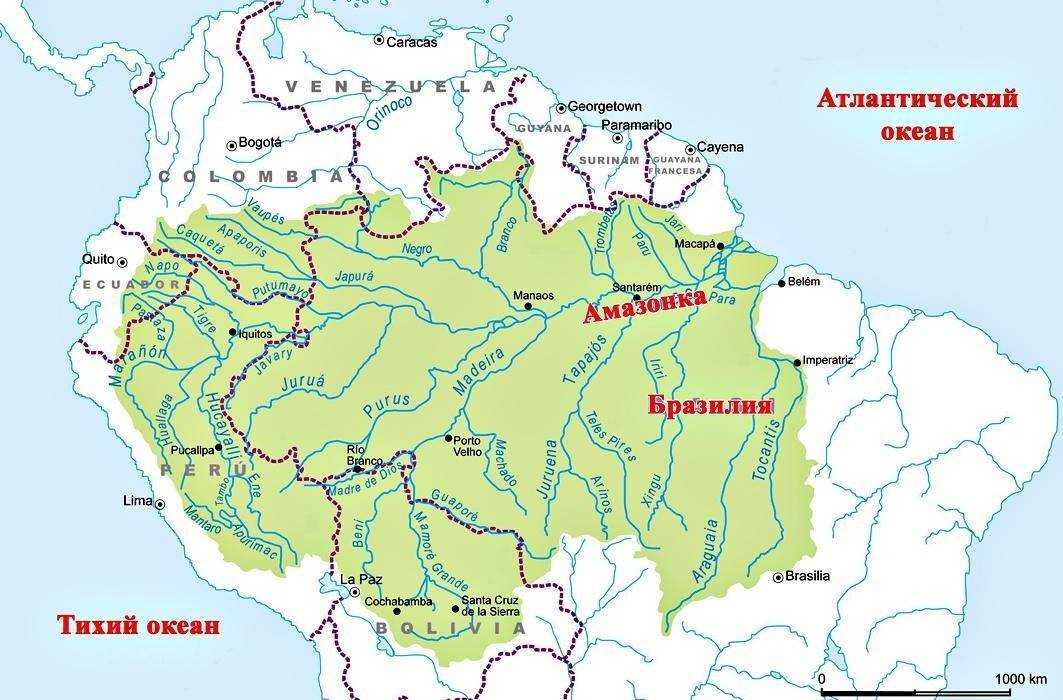 🌊река амазонка: притоки, исток, устье, карта, фотогаллерея