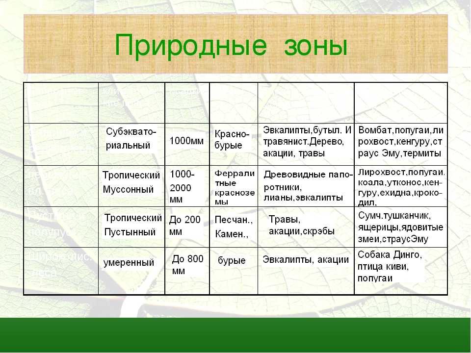 Климат земли: что это, типы и виды климата на поверхности земли, факторы - климатические пояса и их характеристики