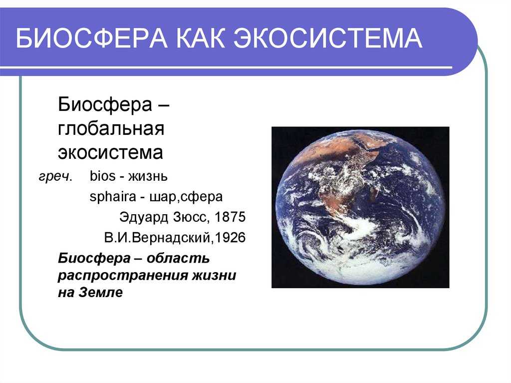 Биосфера — живая оболочка земли