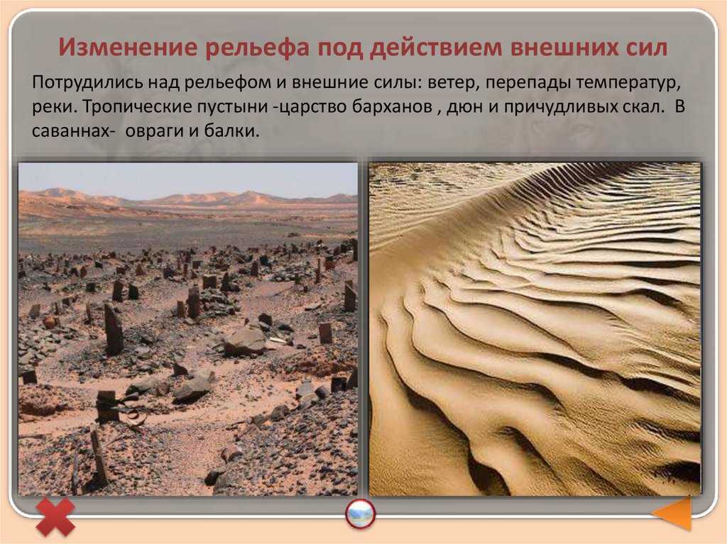 Почему рельеф. почему рельеф земли очень разнообразен: основные факторы, примеры