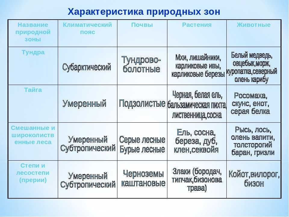 Природные зоны россии: лесотундра и тундра, их характеристика