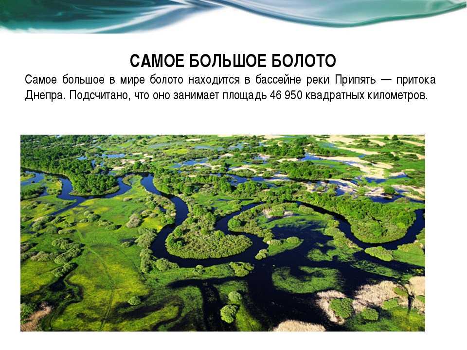Крупнейшее болото европы. Самое большое болота в России на карте. Самое большое болото. Самое большое болото в России. Самое большое болото на карте.