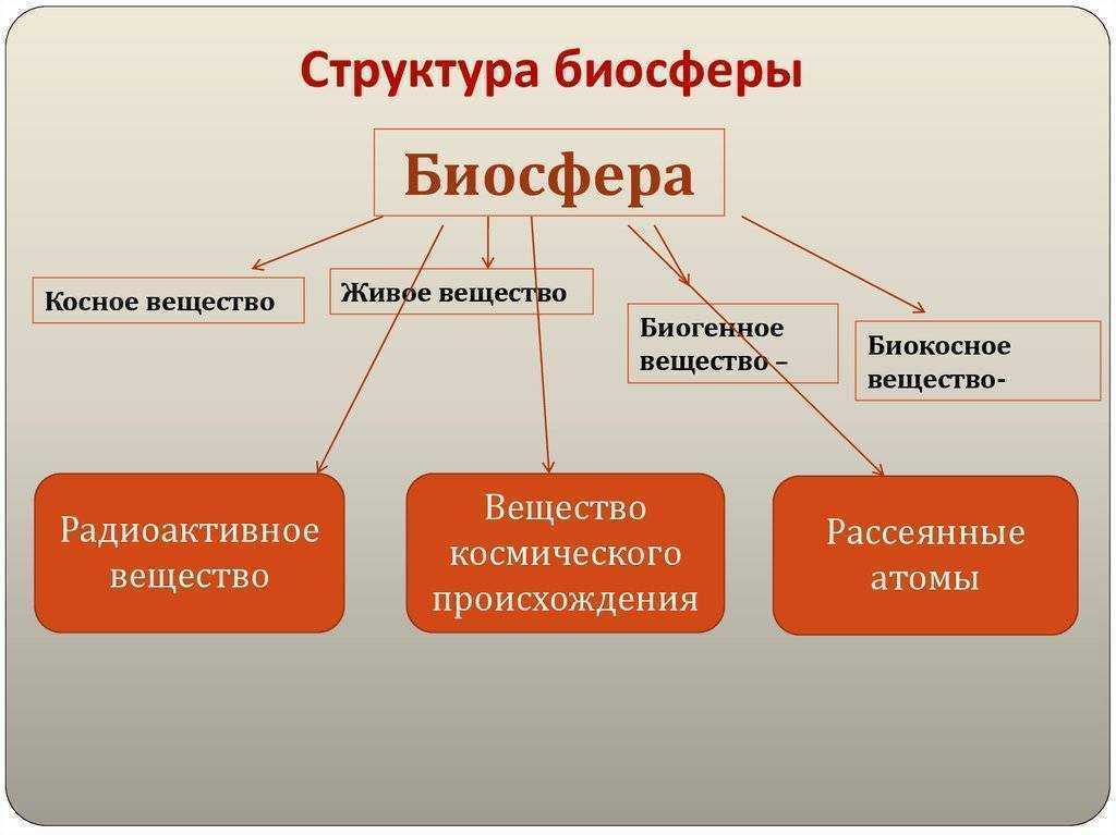 § 51. компоненты биосферы