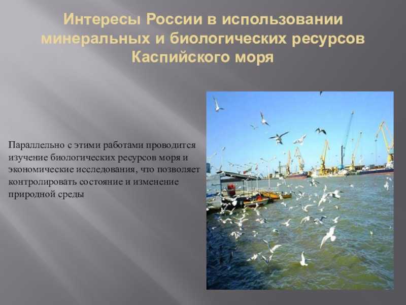 Чёрное, каспийское или азовское: в каком море опасней всего купаться