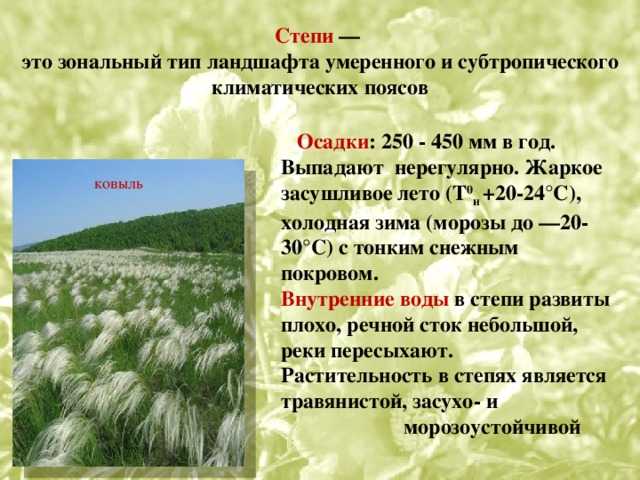 Степь Степь в физической географии — равнина, поросшая травянистой растительностью, в умеренных и субтропических зонах северного и южного полушария