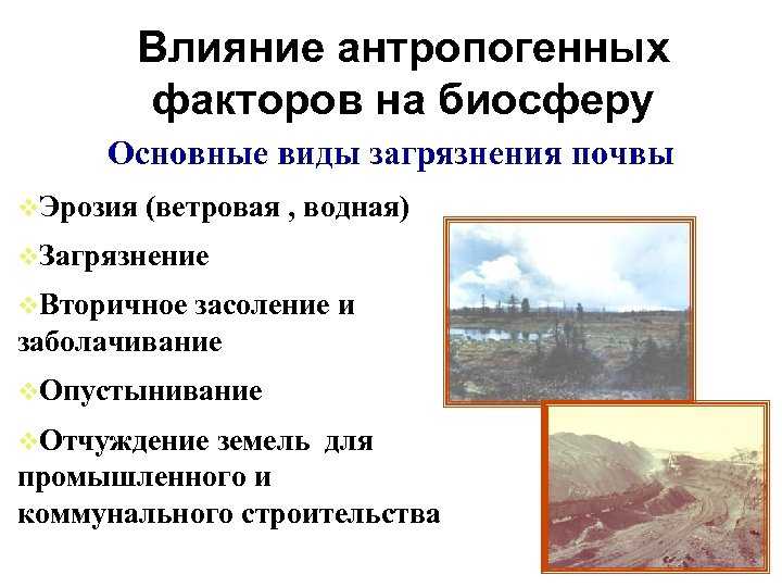 Загрязнение биосферы: что это, причины, виды, источники, последствия, защита, борьба