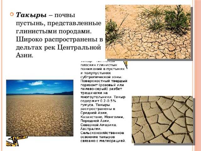 Почвоведение.  номер
 8, 2021