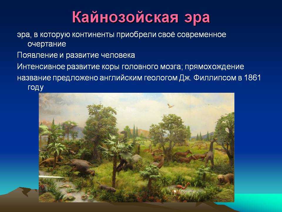 Кайнозойская эра периоды кратко
