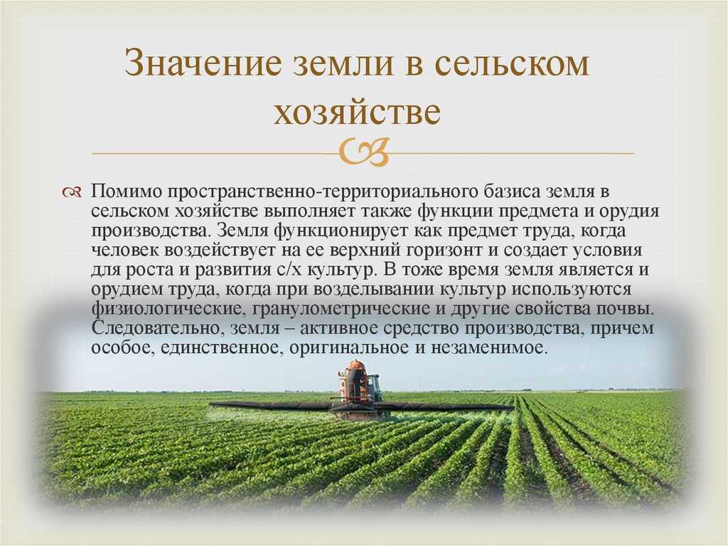 Окато — общероссийский классификатор объектов административно-территориального деления: коды 2023 года, расшифровка | официальный сайт администрации ашинского городского поселения