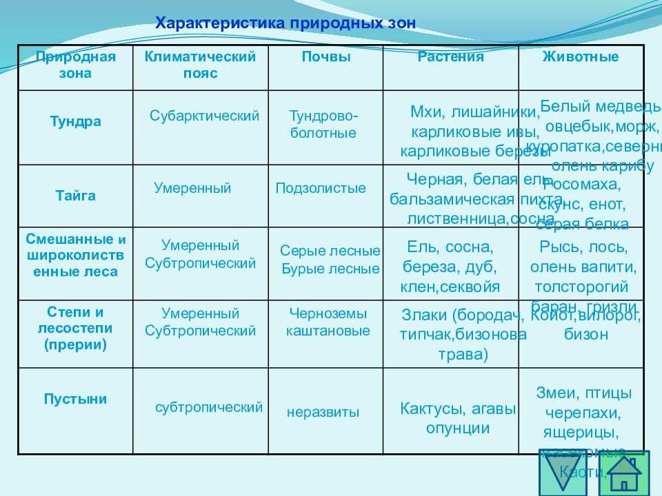 Природные зоны северной америки — карта, названия, географическая характеристика и таблица — природа мира
