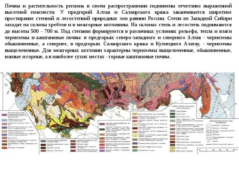 Почвенно географическое районирование алтайского края