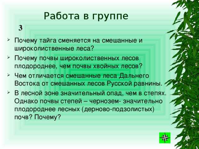 Природные зоны россии: тайга, смешанные леса, лесостепь