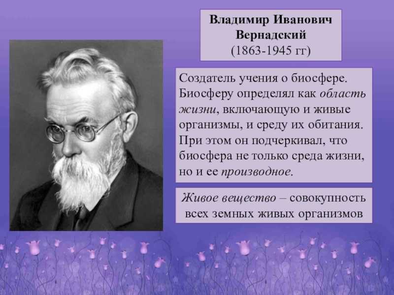 Кратко об основных этапах эволюции биосферы