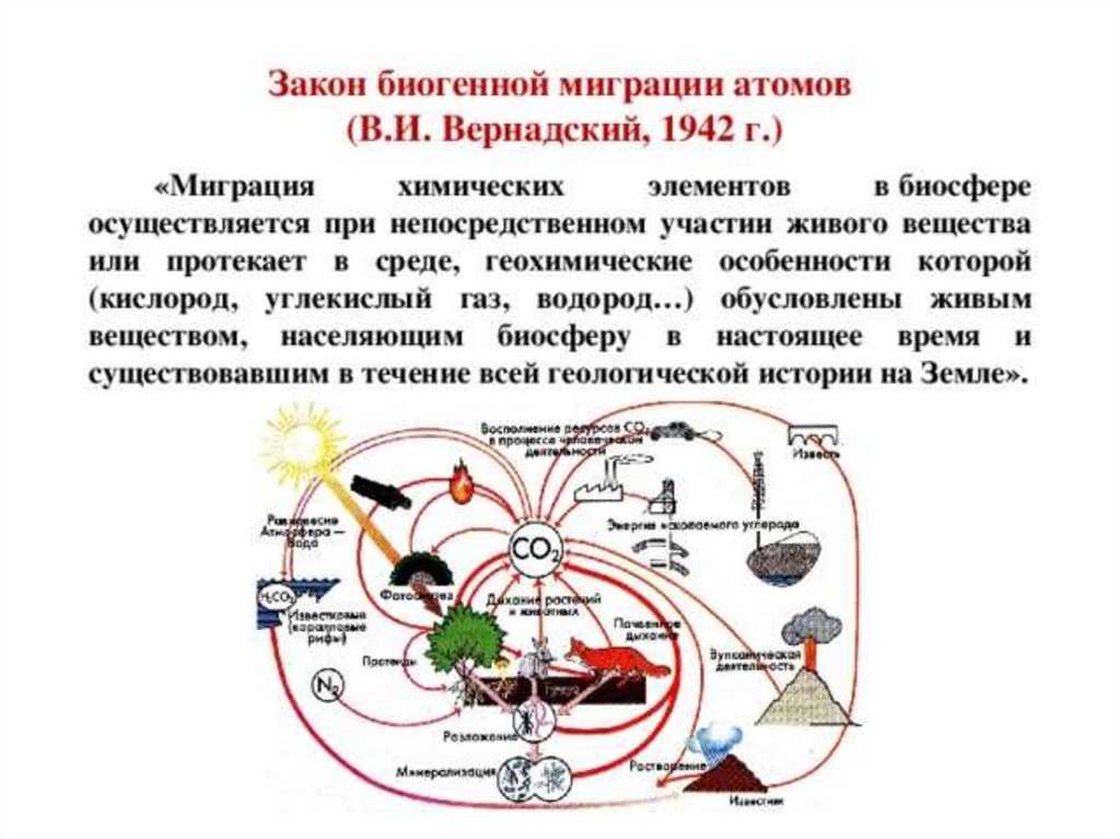 Конспект "живое вещество. эволюция биосферы" - учительpro