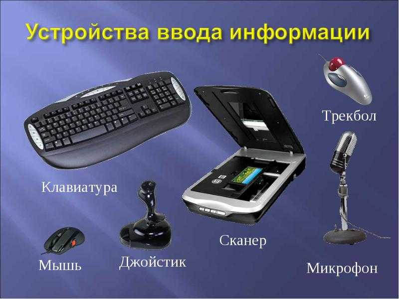 Устройства ввода информации - классификация, виды и характеристики