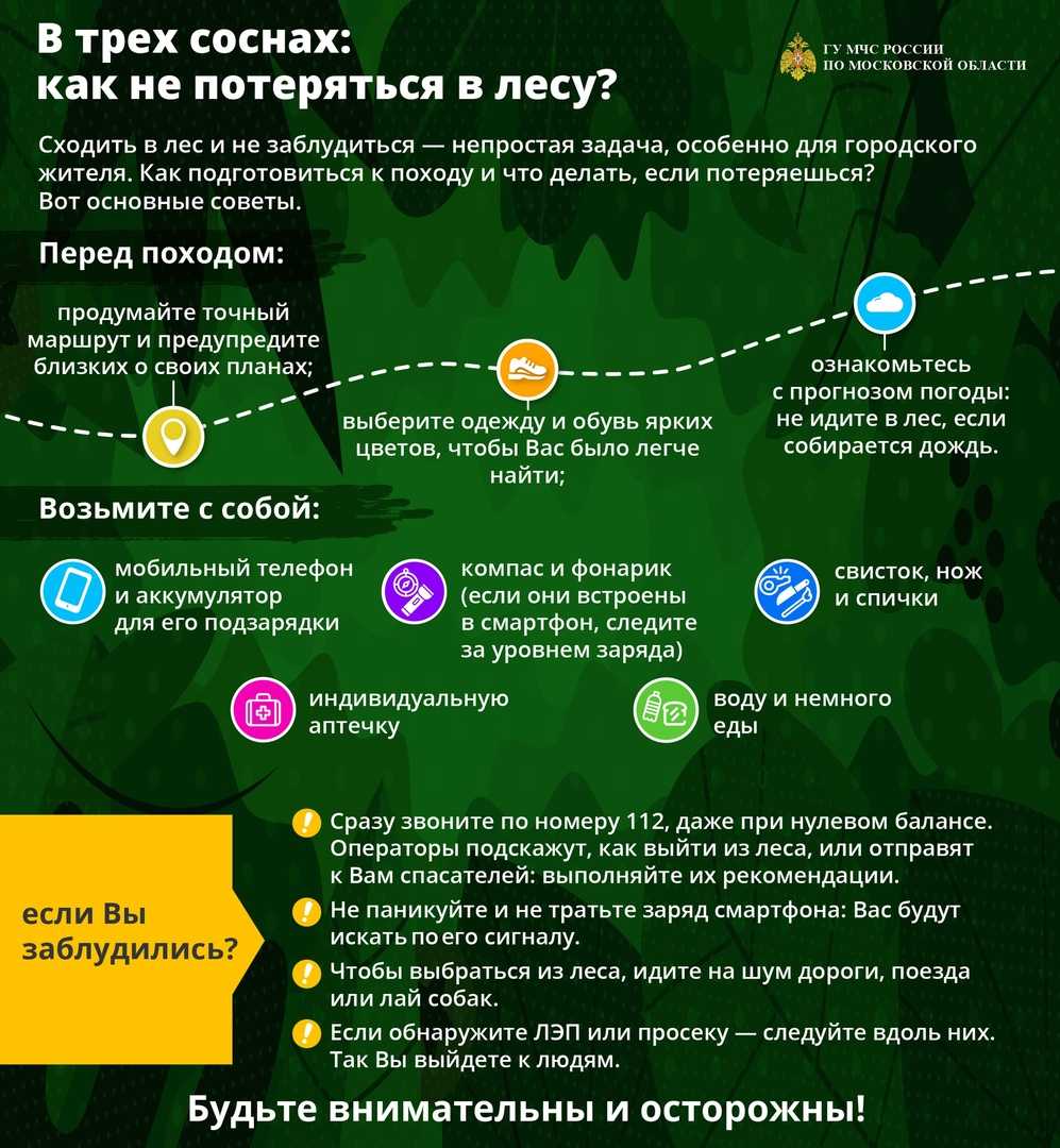Как использовать GPX трек Хотите отправиться в поход или на природу, но не знаете как ориентироваться в лесу Предлагаем идти в ногу со временем и