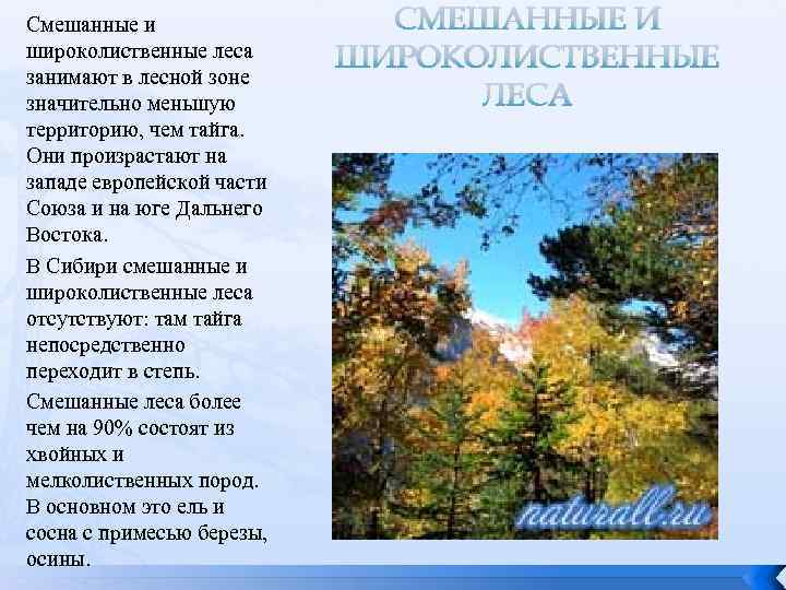 Леса
, том 1 @ национальный атлас россии