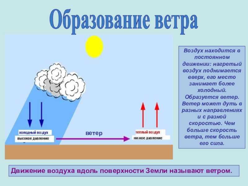 Виды ветров и их характеристика в таблице