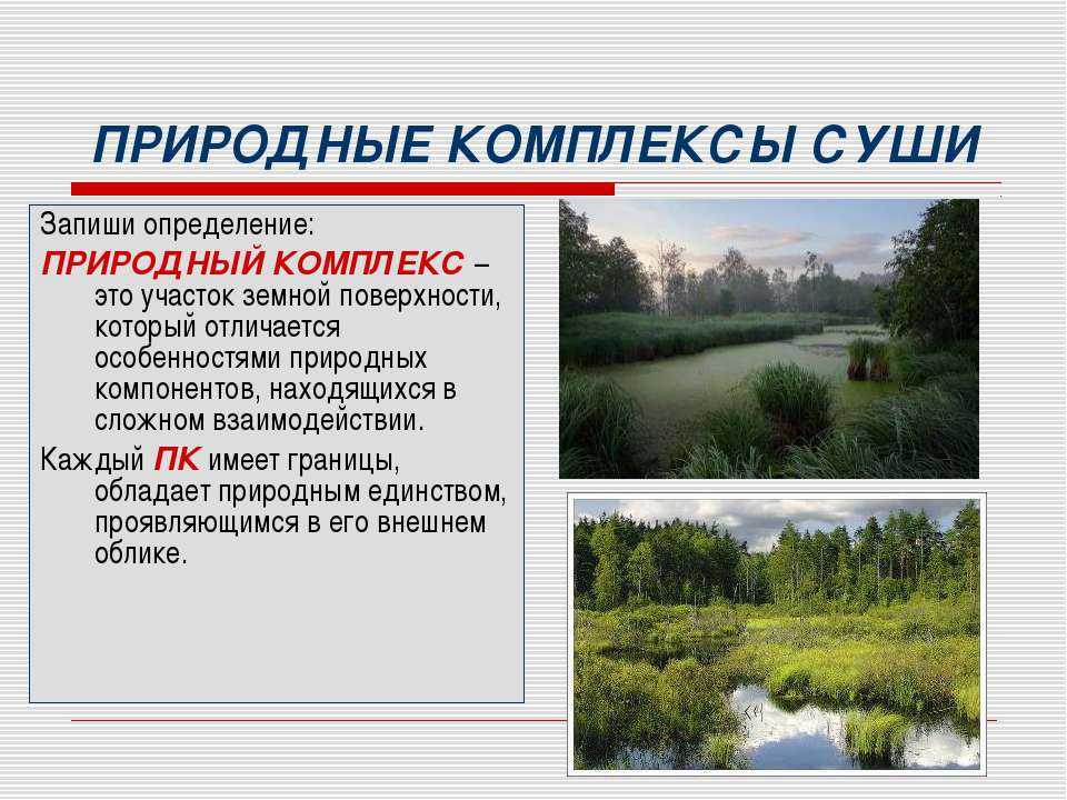 Самые крупные природные комплексы россии. Природные комплексы. Локальные природные комплексы. Природные комплексы 8 класс. Мой любимый природный комплекс.