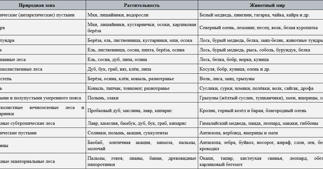 Природные зоны россии - виды с названиями и описанием