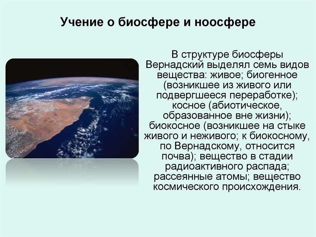 Биосфера | экосистемы и присущие им закономерности | теория | решутест. продвинутый тренажёр тестов