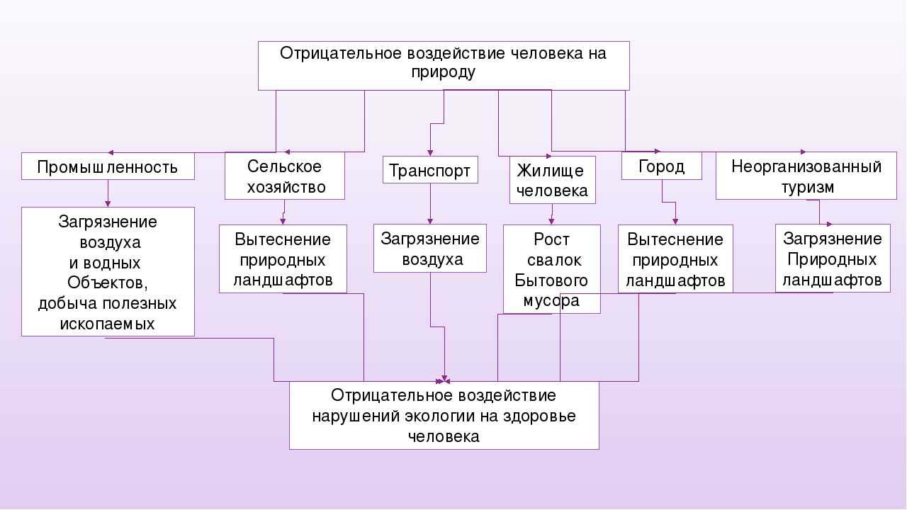 Глава 5. ландшафты