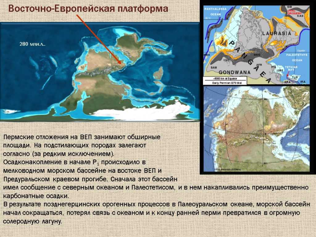 Особенности рельефа восточно-европейской (русской) равнины