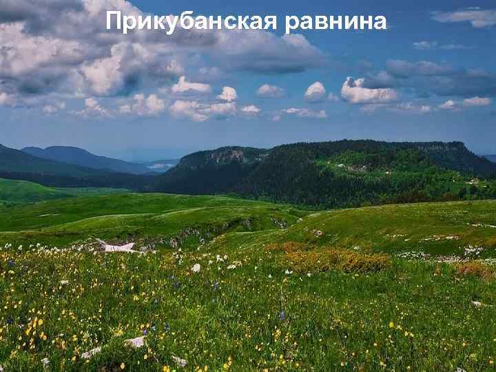 Физико-географическое положение краснодарского края