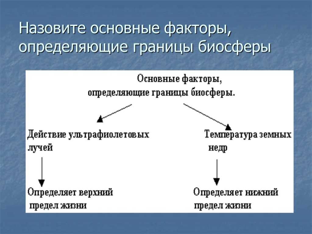 Биосфера