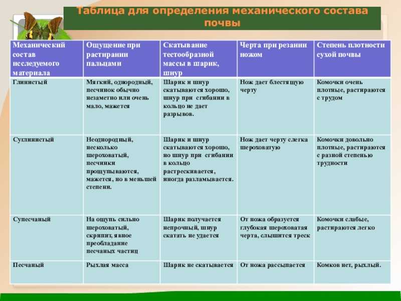Урок 1: город и село - 100urokov.ru