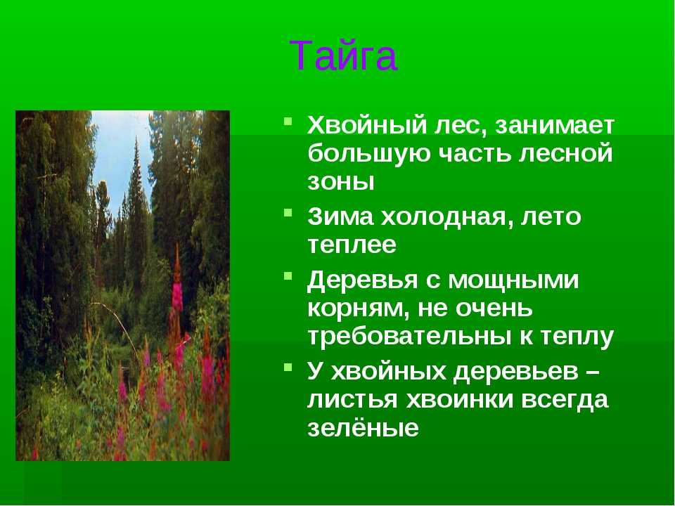 Параграф 24 - естествознание. 10 класс. габриелян о. с. — викирешебник