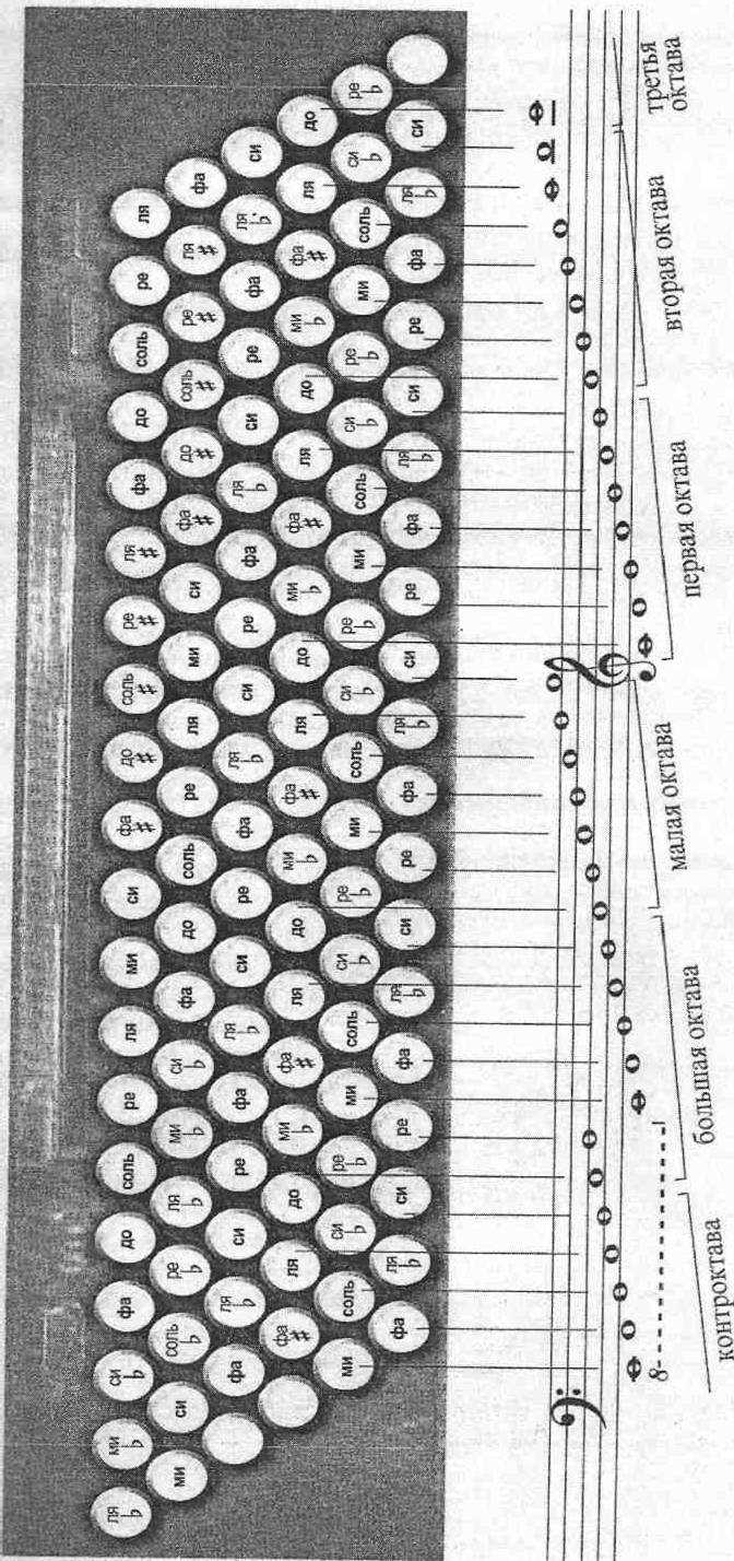 Аккорды на баяне правая. Схема кнопок правой клавиатуры баяна. Клавиатура 2 Октава аккордеона. Левая клавиатура выборного баяна схема. Гармонь Чайка 2 левая клавиатура.