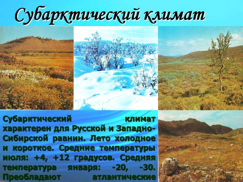 Субарктический климат – характеристики, осадки, воздушные массы