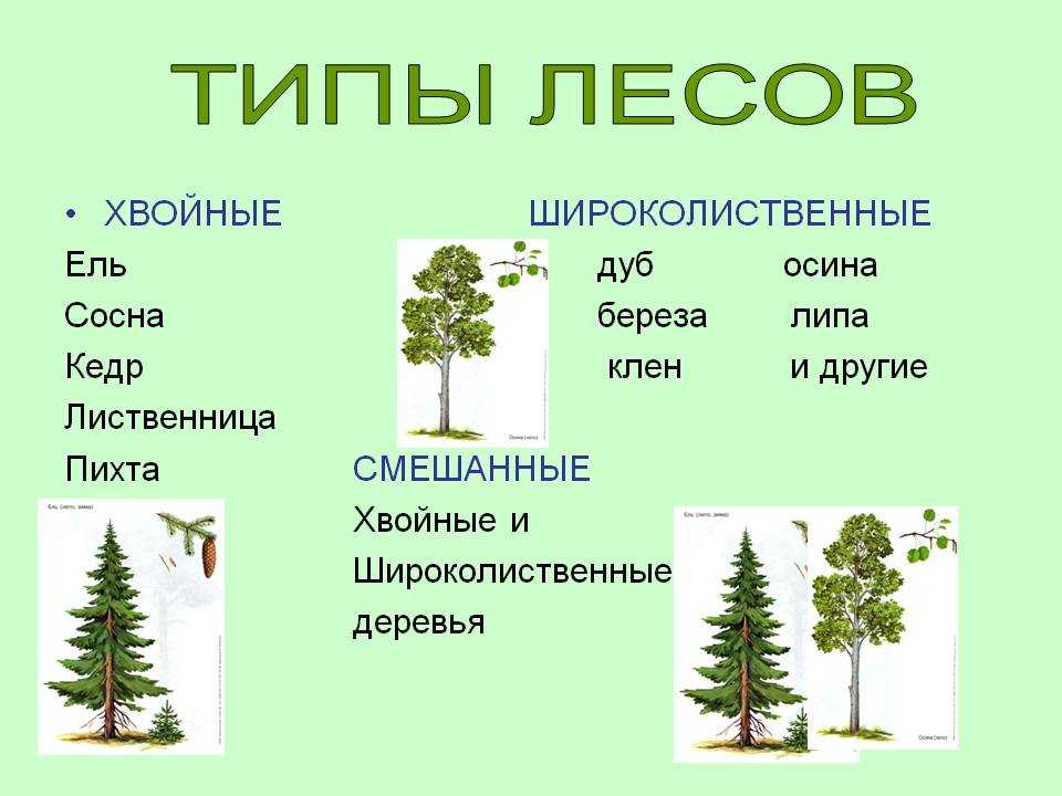 Условные обозначения топографических карт и планов. виды различных символов, умение читать топографические карты по условным знакам