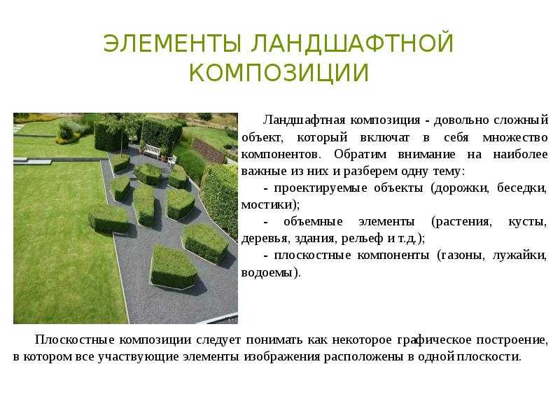 Компоненты ландшафта по солнцеву