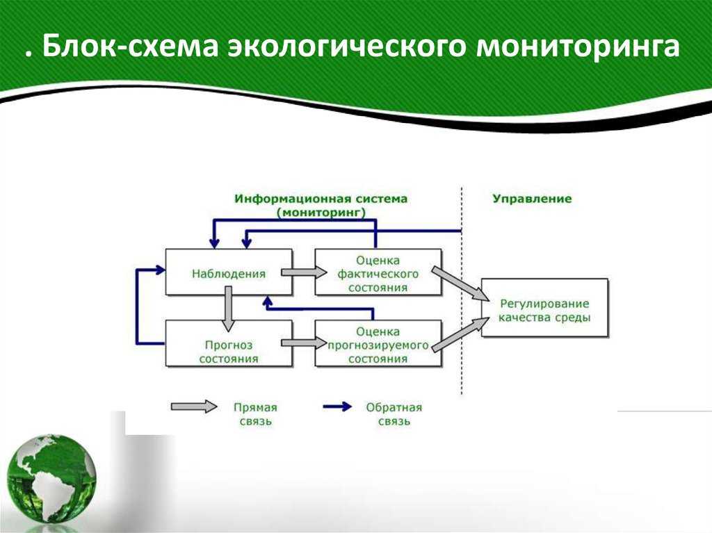 Что такое мониторинг и его виды?