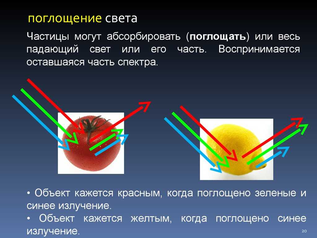 Функции живого вещества биосферы с примерами